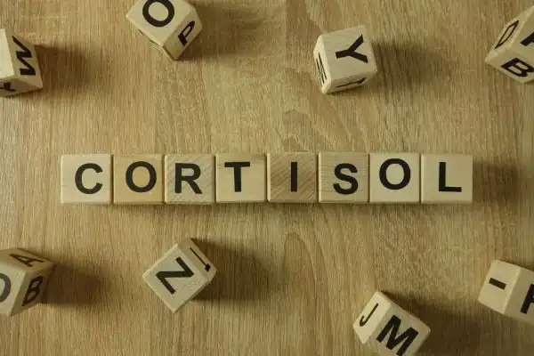 The Hidden Connection: How Stress Shapes Your Fitness and Body Composition 2 Image saying "Cortisol" and how stress Sutton Coldfield impacts your wellbeing and bodies shape